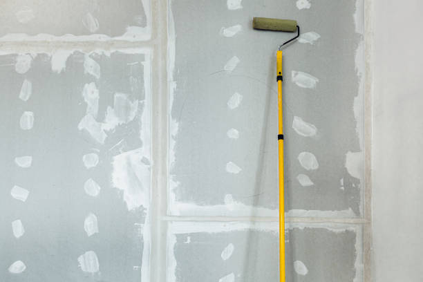 Best Emergency Mold Remediation  in Olympia Fields, IL