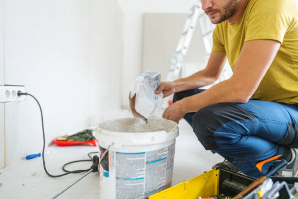 Reliable Olympia Fields, IL Mold Removal Solutions