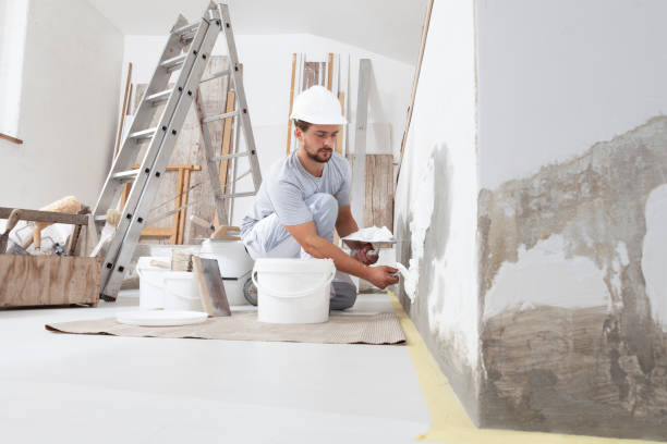Best Post-Remediation Verification Testing  in Olympia Fields, IL