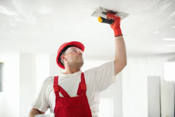 Best HVAC Mold Inspection and Cleaning  in Olympia Fields, IL