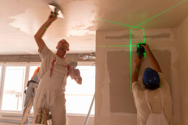 Best Basement Mold Removal  in Olympia Fields, IL