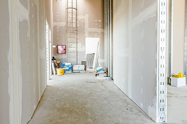  Olympia Fields, IL Mold Removal Pros