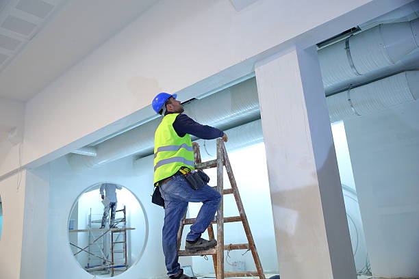 Best Dehumidification Services  in Olympia Fields, IL